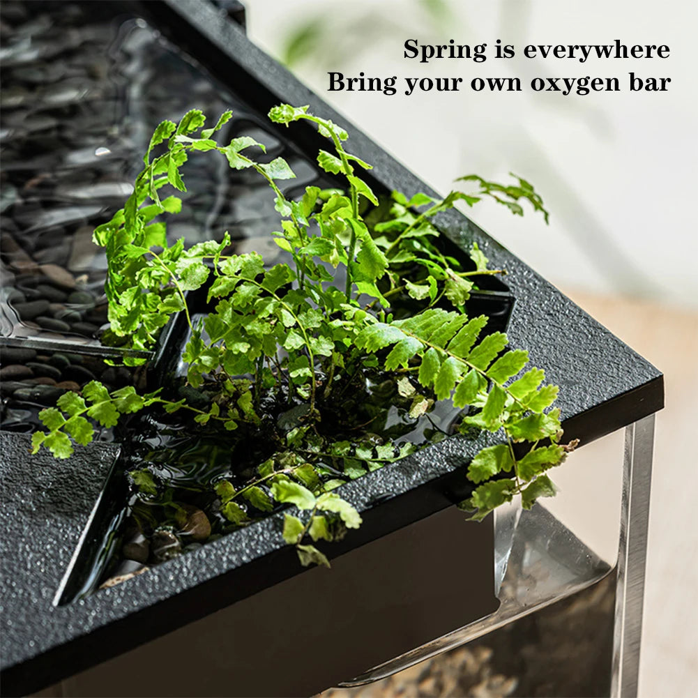 Aquarium Tank With Build-in Light