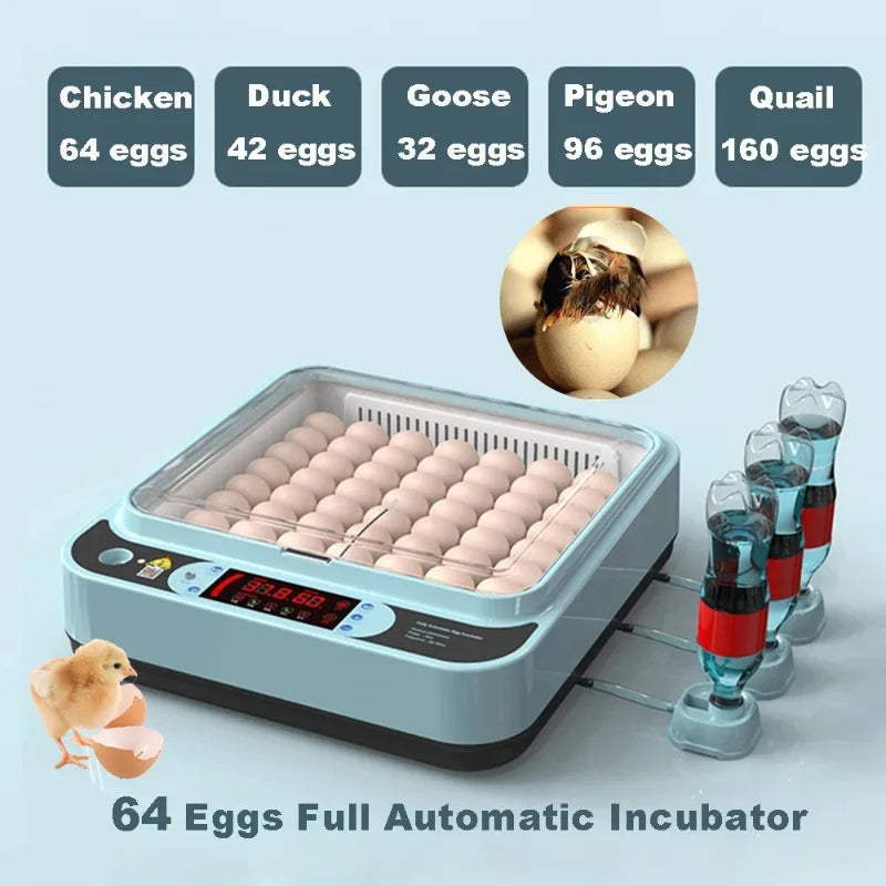 64/6 Chicken Duck Quail Egg Incubator