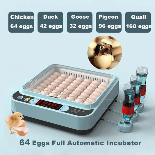 64/6 Chicken Duck Quail Egg Incubator