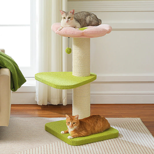 Indoor Modern Cat Tree Tower