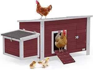 Large Chicken Coop with Upgraded Perches