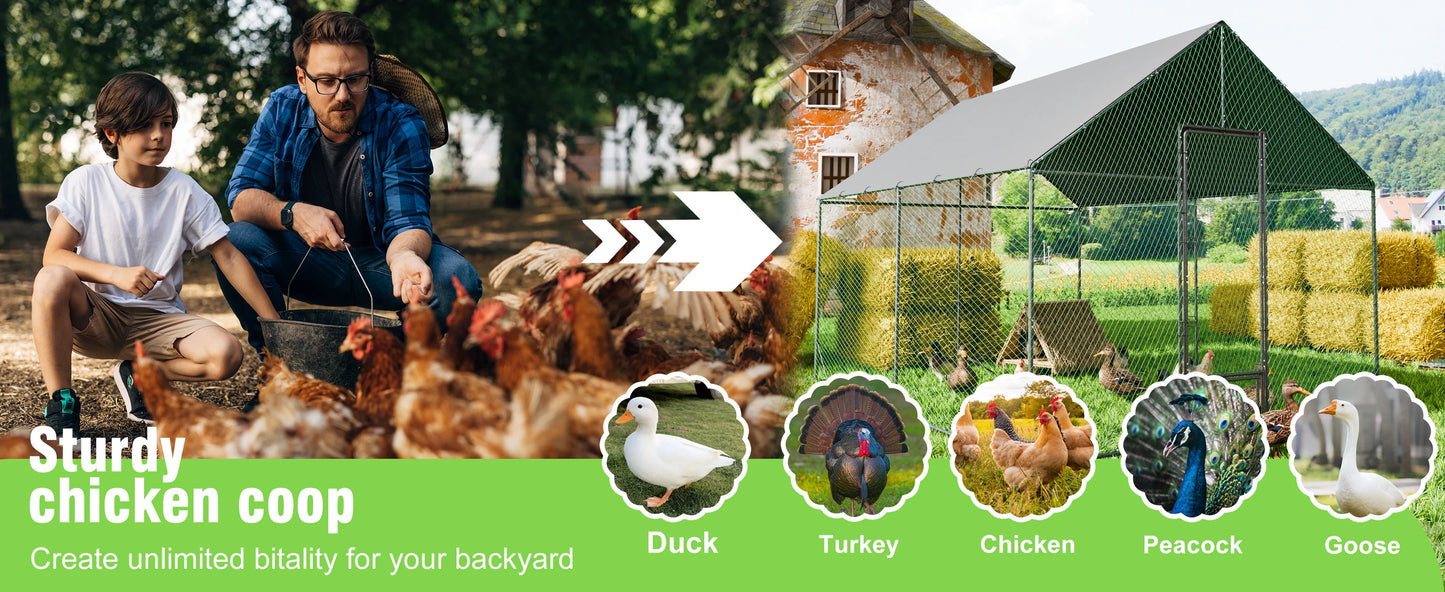 Heavy Duty Upgrade Outdoor Chicken Coop