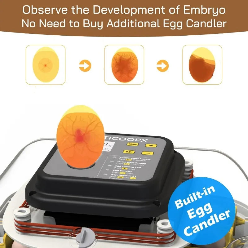 30 Egg Incubator with Humidity Display
