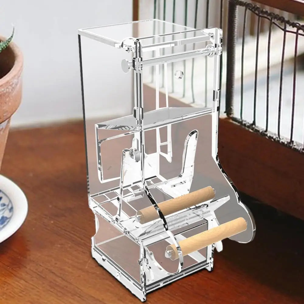 Parrot automatic feede
