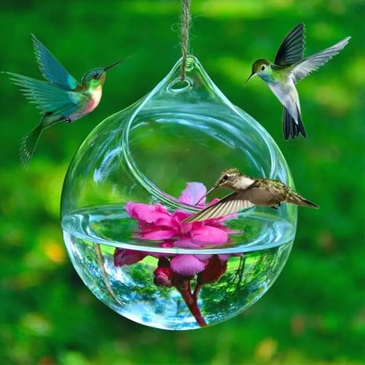 Humming Glass Feeder Outdoors Bird Feeder