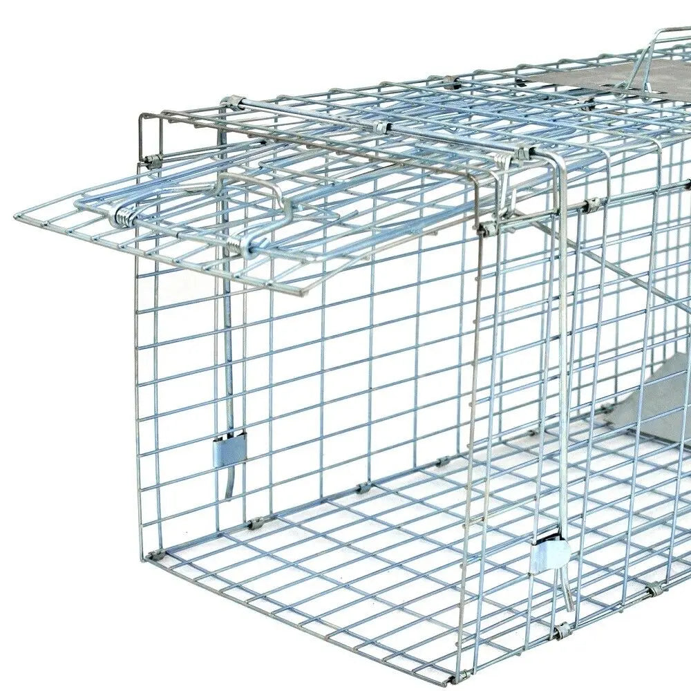 Animal Trap Steel Cage for Small Live Rodent