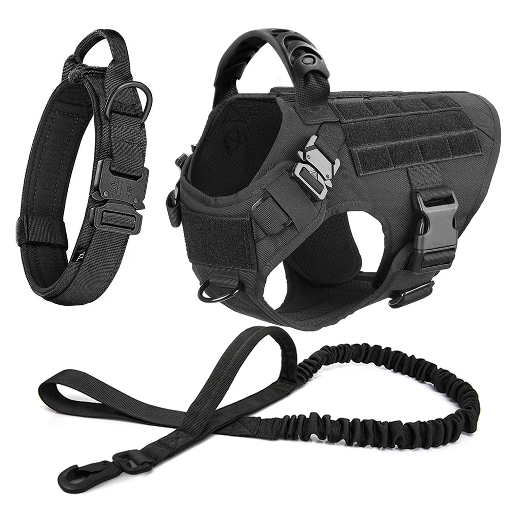 Large Dog Harness and Leash Set