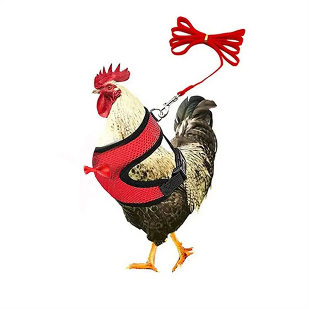 Poultry Harness Rope