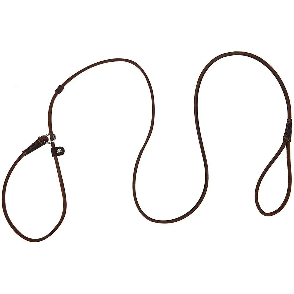 Genuine Leather Slip Dog Leash