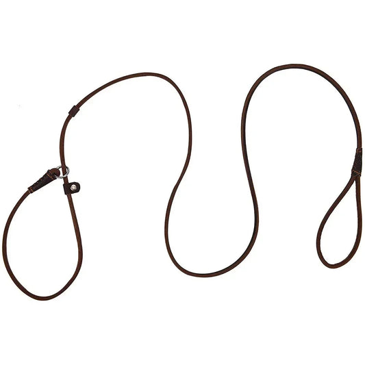 Genuine Leather Slip Dog Leash