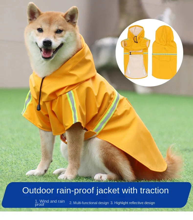 Big Dog raincoat