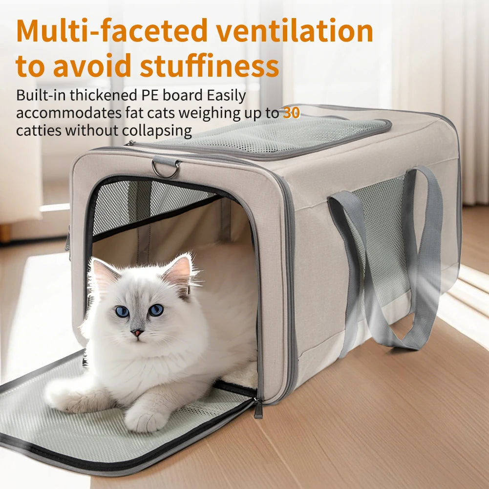 Cat trolley for 2 cats