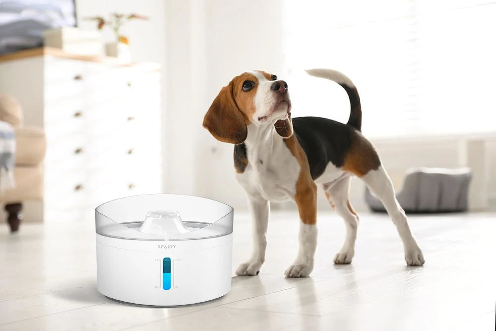 Automatic dog water fountain