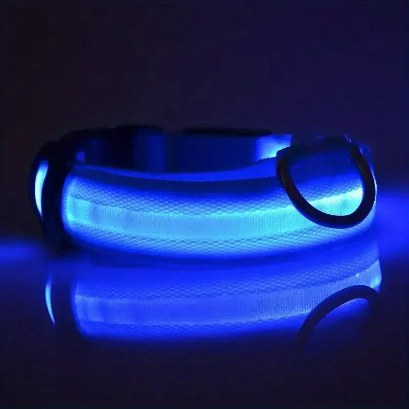 Light Up LED Pet Dog Collar