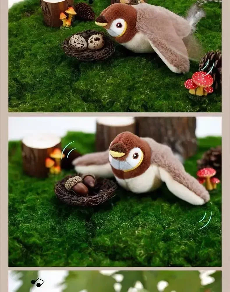 Interactive Cat Toys