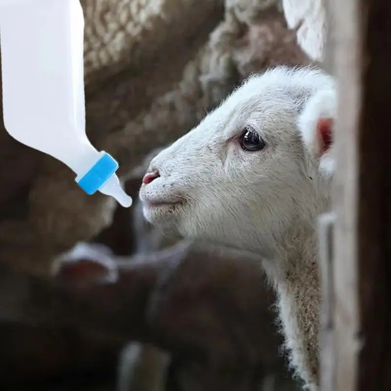 Goat Bottles For Feeding Baby Goats