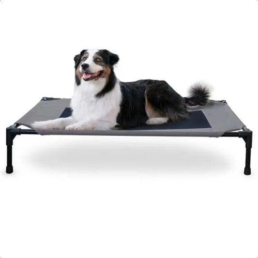 Outdoor Elevated Dog Cot