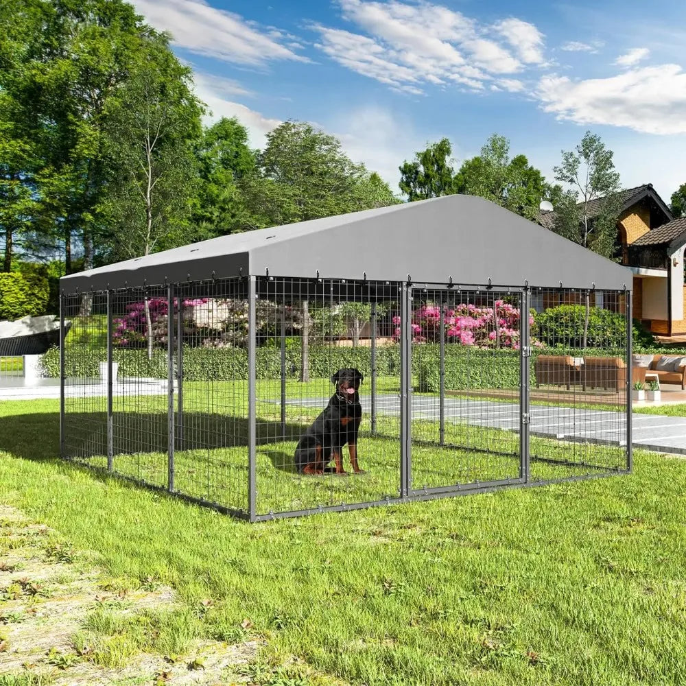 Large Outdoor Kennel with Fully Covered Roof