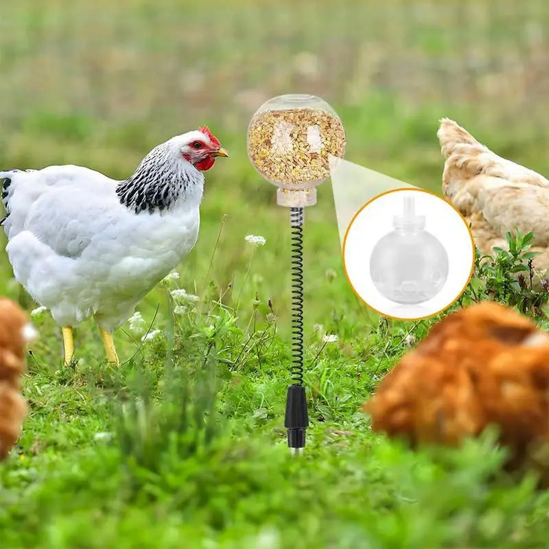 2pcs Chicken Swing Feeder