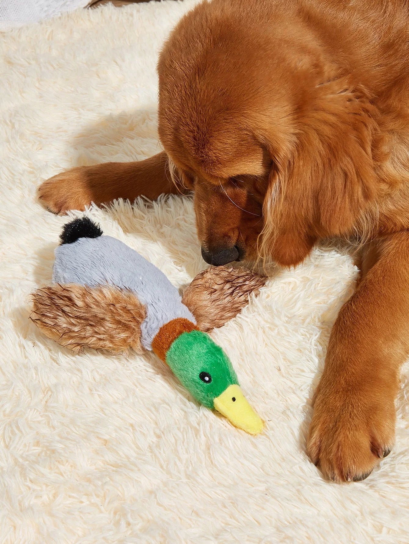Wild Duck Style Pet Plush Toy