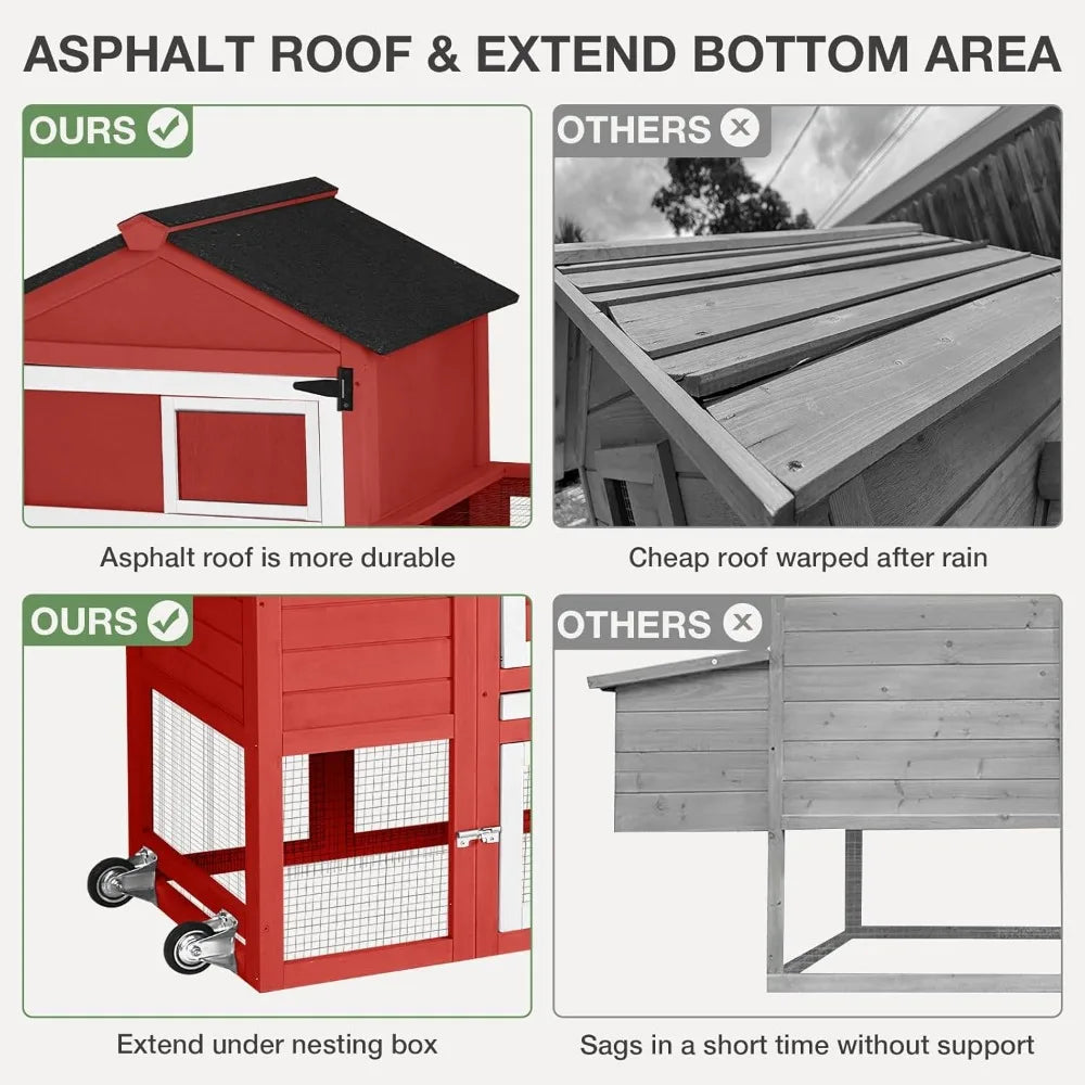 Chicken Coop for Outdoor