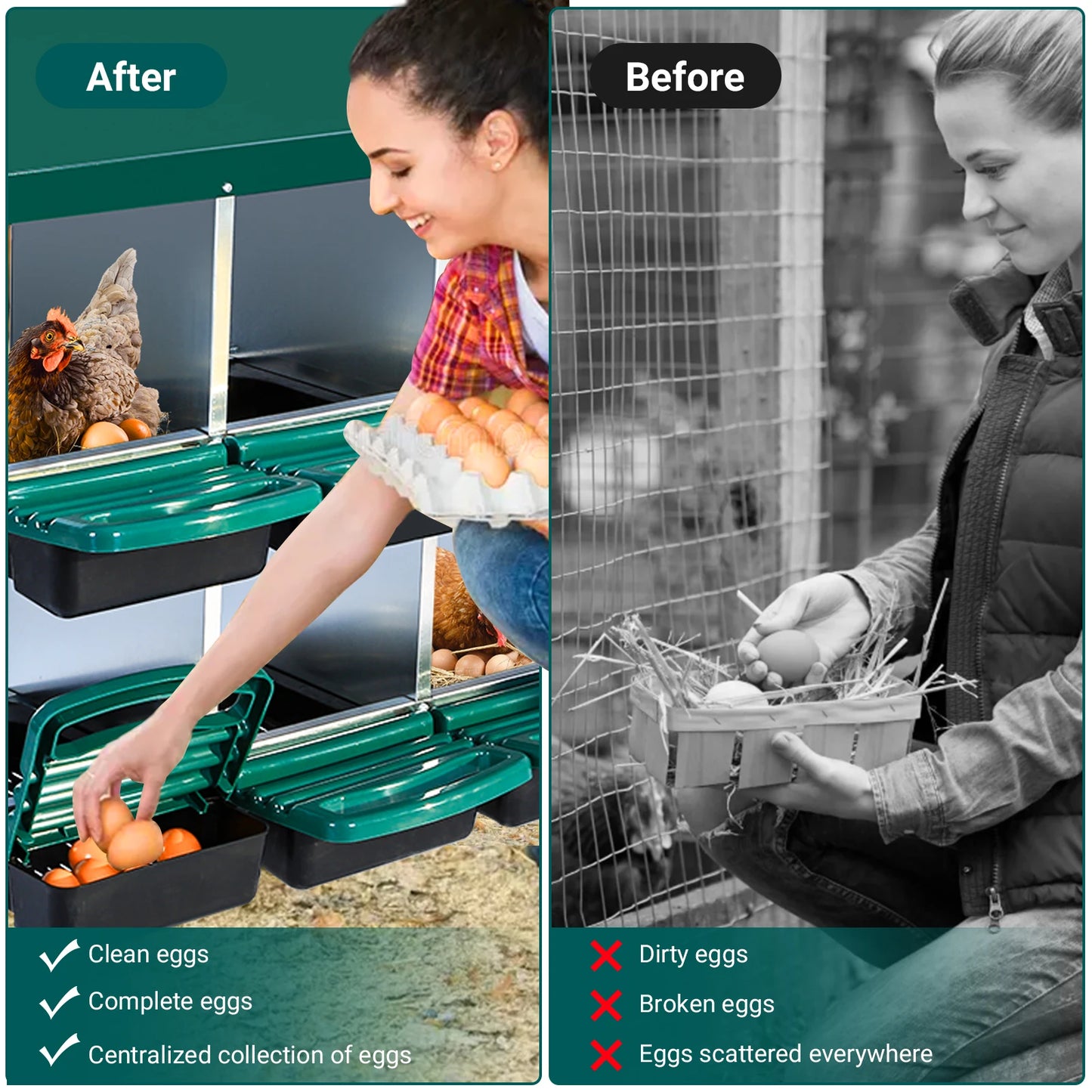 6-8-10 Holes Chicken Nesting Box