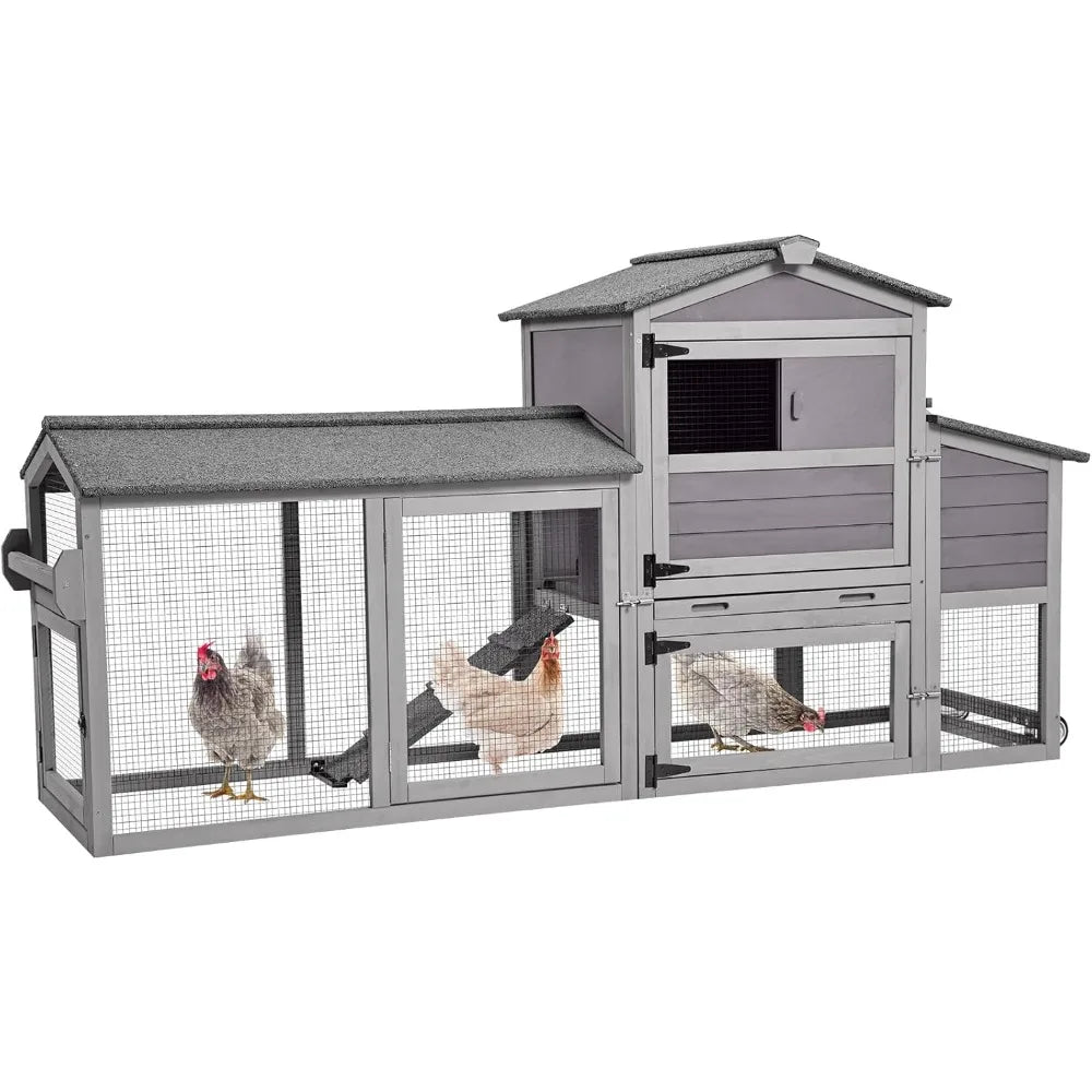 Chicken Coop