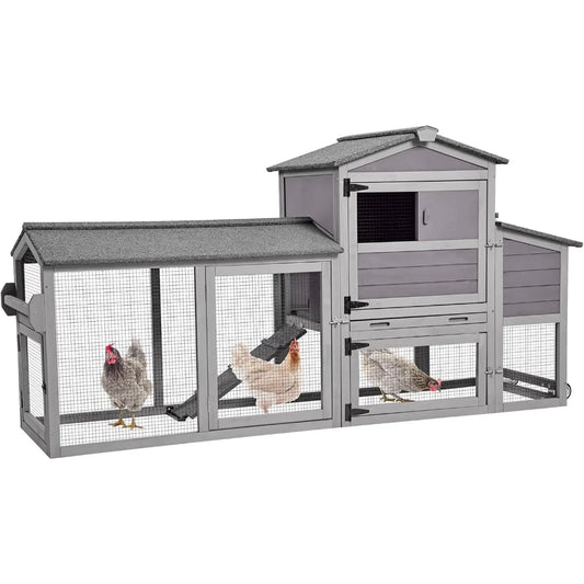 Chicken Coop