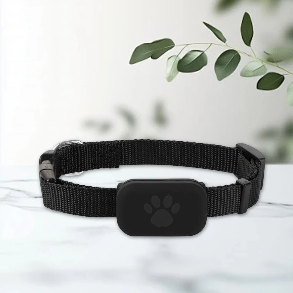 Dog Tracker with Adjustable Collar