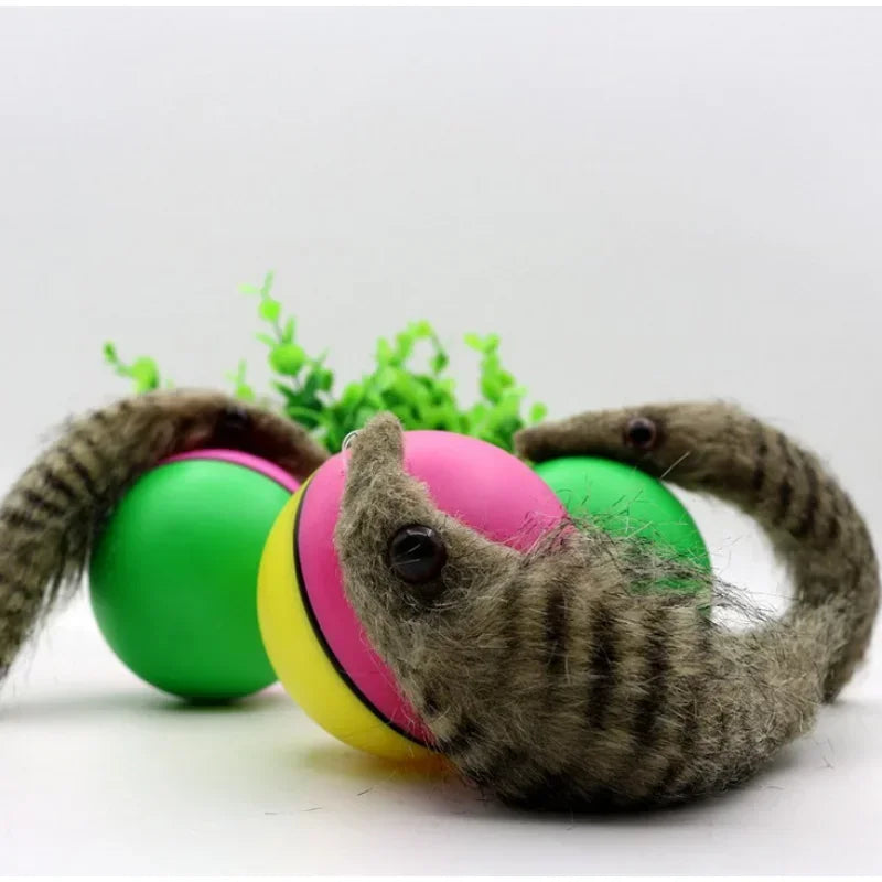 Rolling Play Random Alive New Pet Ferret Toy