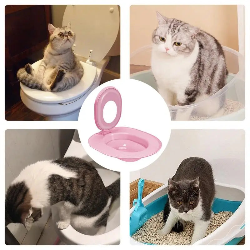 Cat Toilet Trainer Sand Box