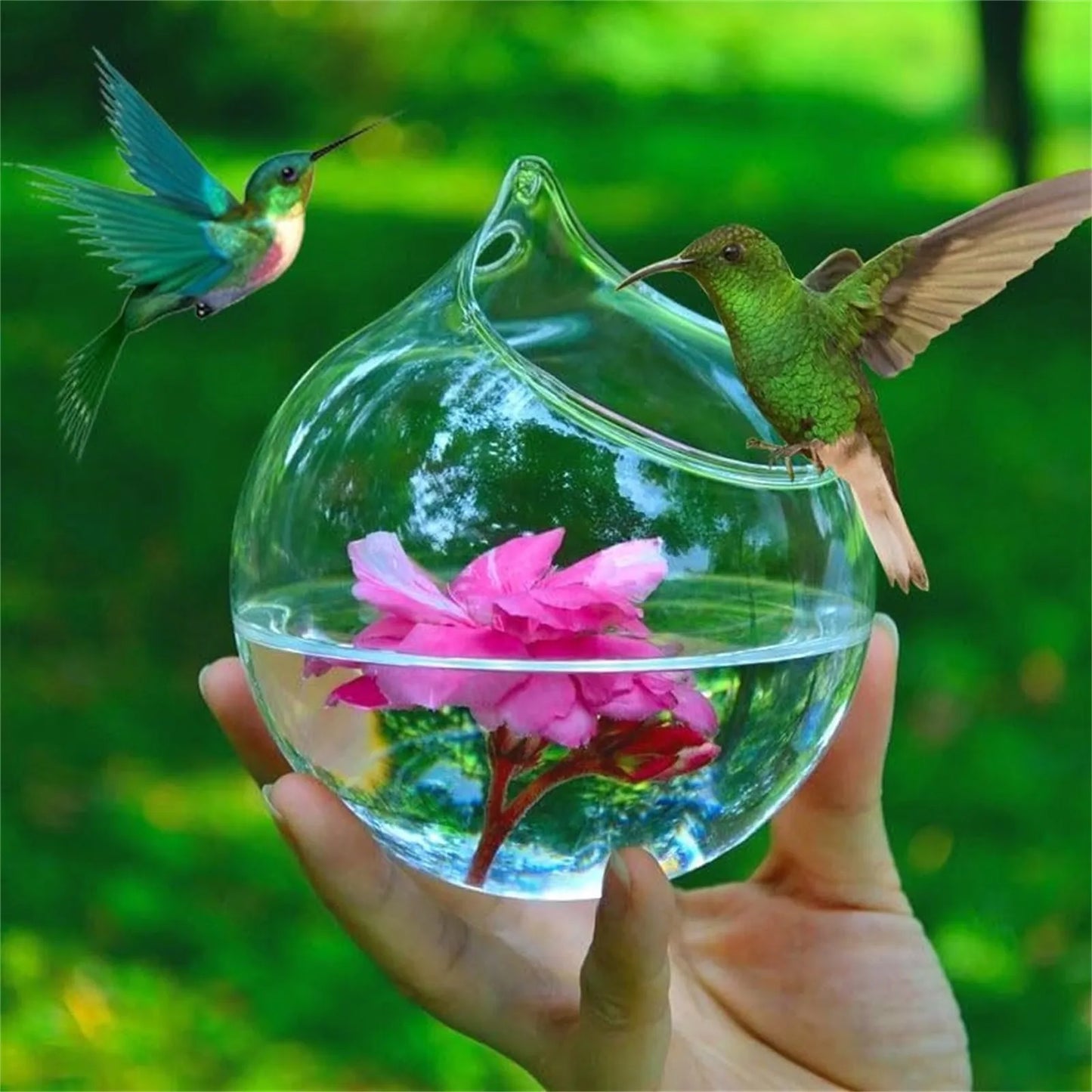 Humming Glass Feeder Outdoors Bird Feeder