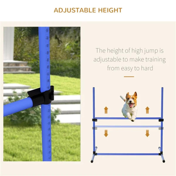 Dog Agility Dogs Fences Set