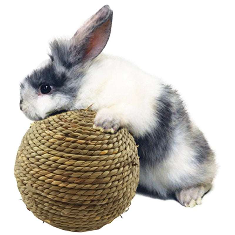 4PCS Pet Chew Toy