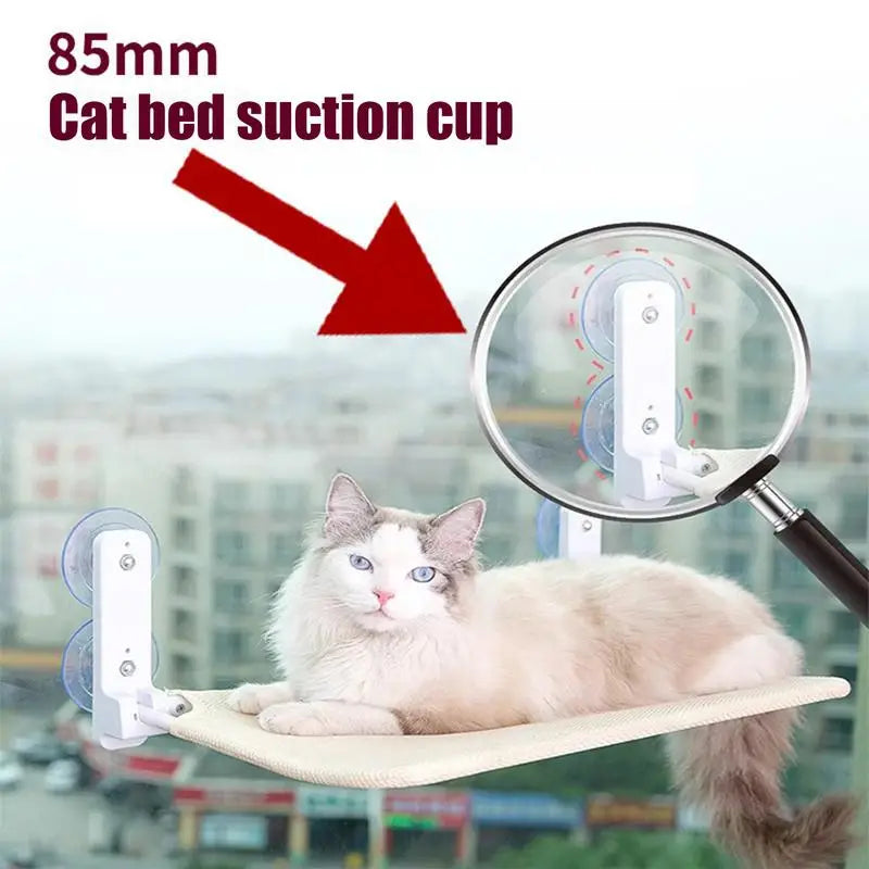 Cat Window Perch with Suction Cups