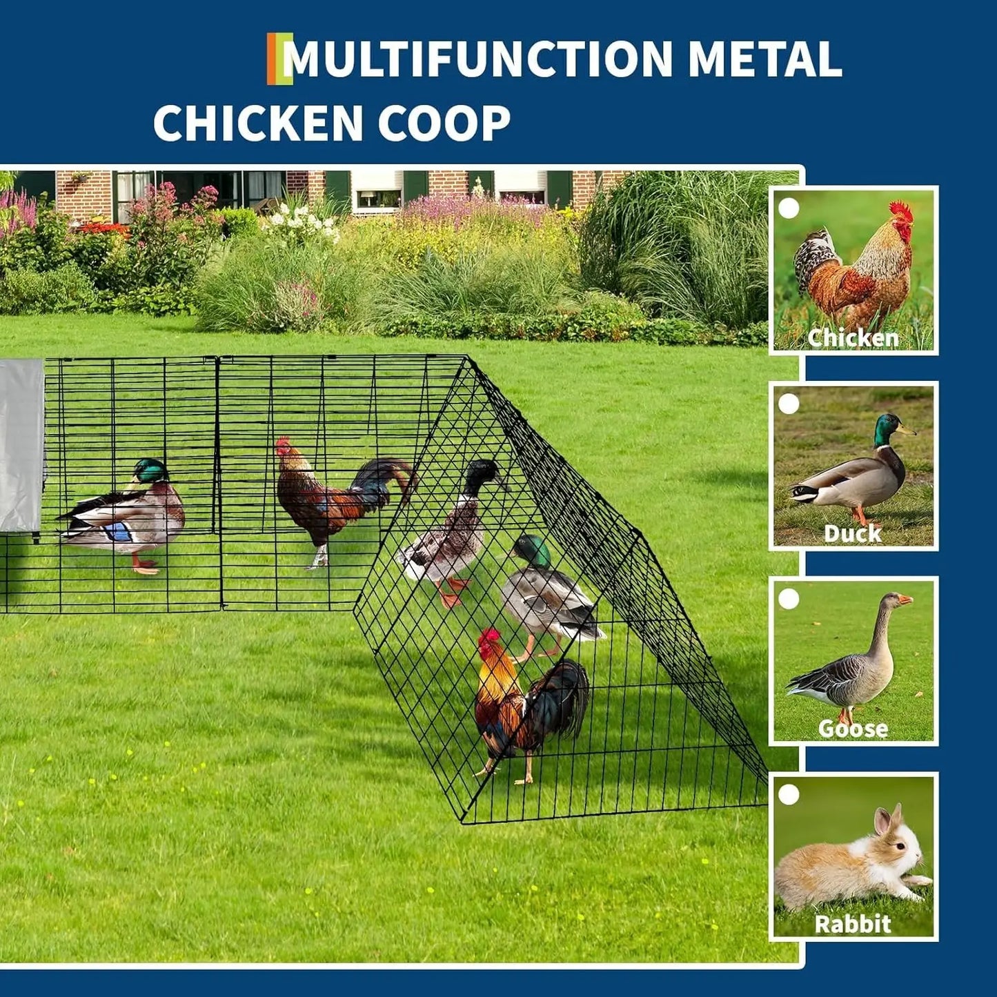 Metal Chicken Coop with Run