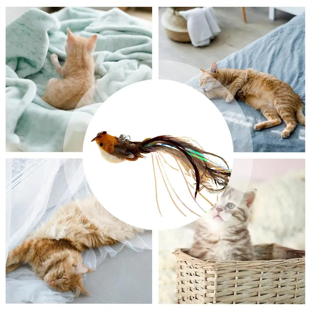 Cat Teaser Wand Attachments