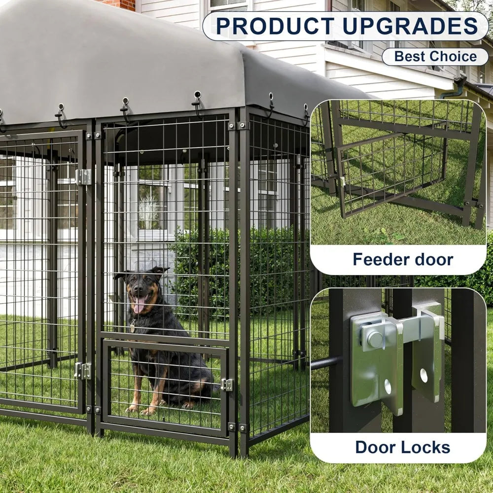 Dog Kennel Outside
