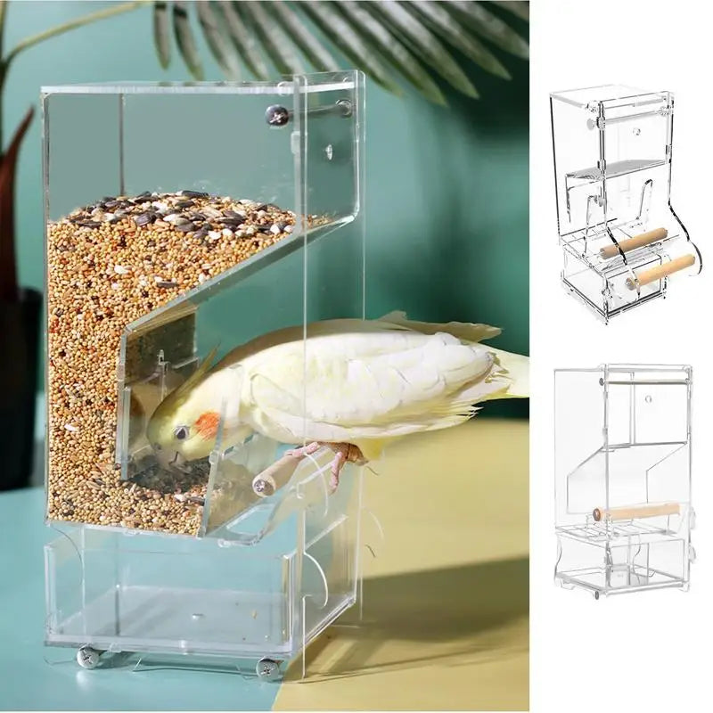 Parrot automatic feede