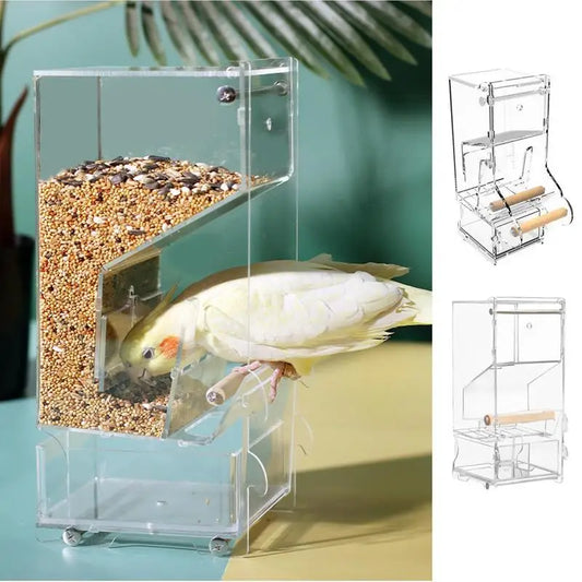 Parrot automatic feede