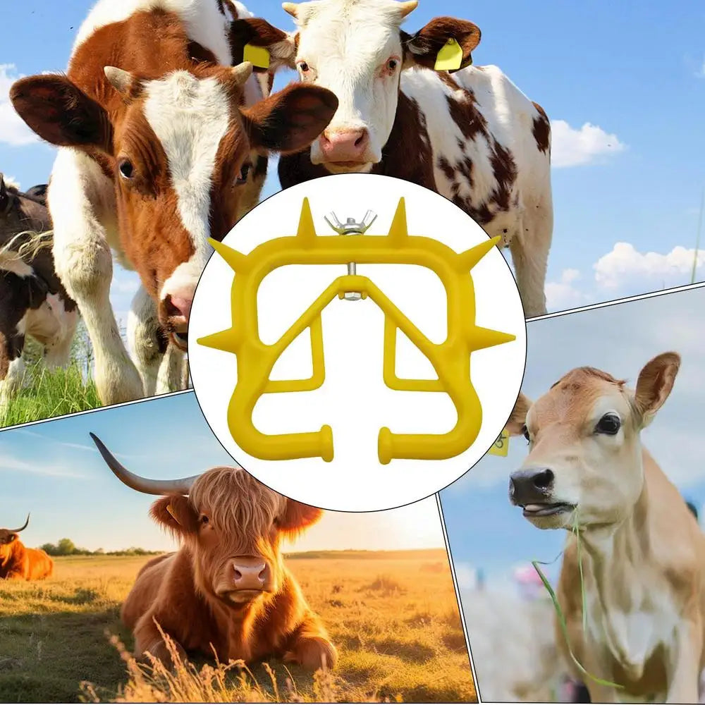 Cow Nose Ring