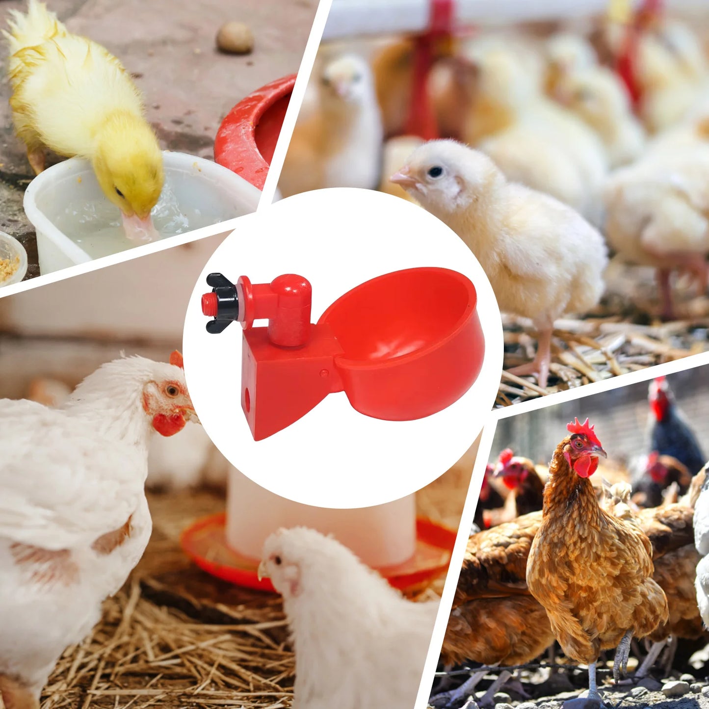 6pcs Poultry Drinking Fountain Hanging