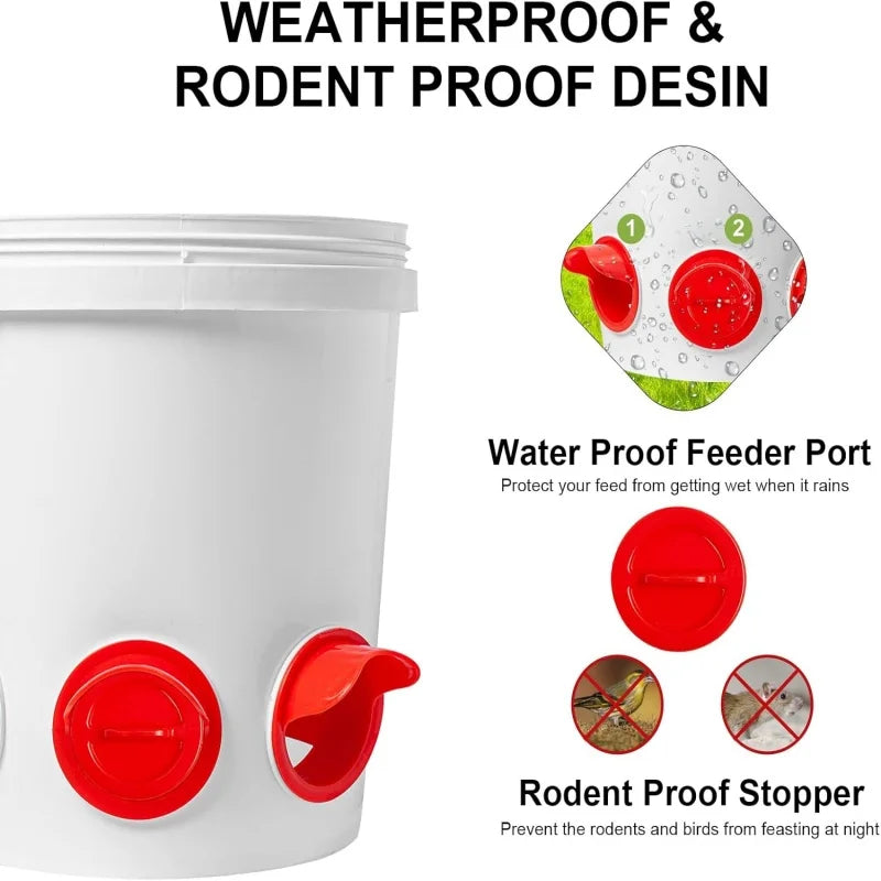 Poultry Automatic Gravity Feeder