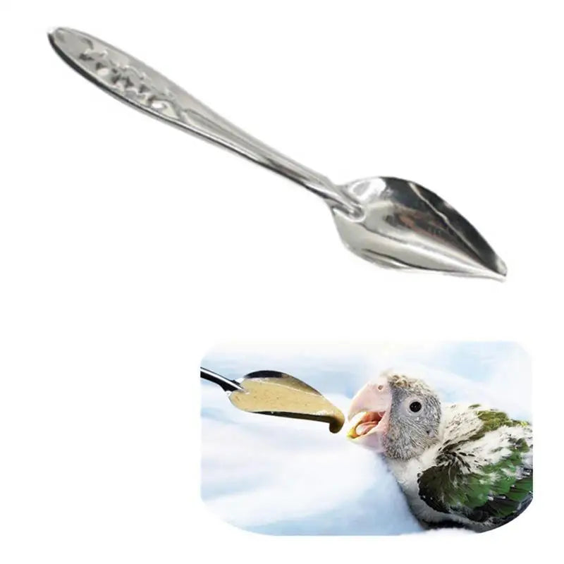 Bird Feeder Spoons