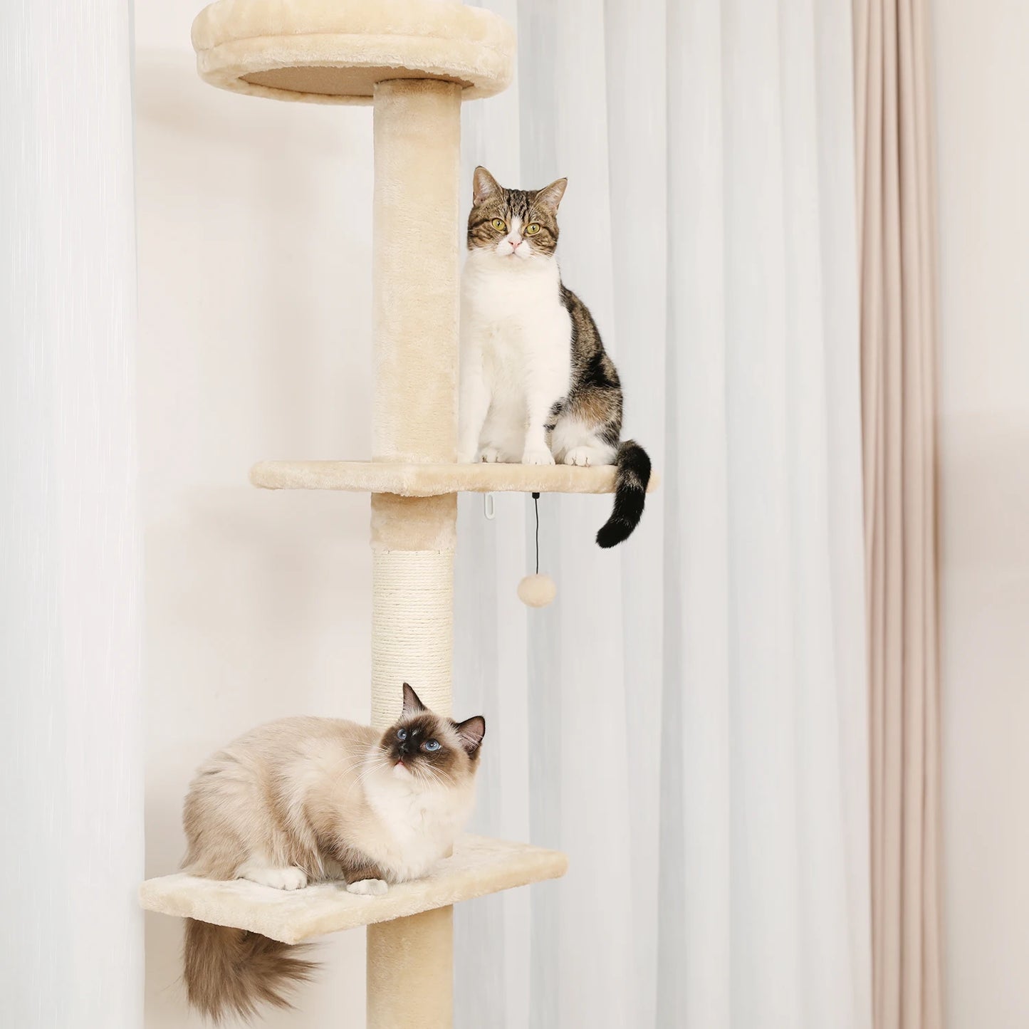 Cat Tree Condo Scratching Post