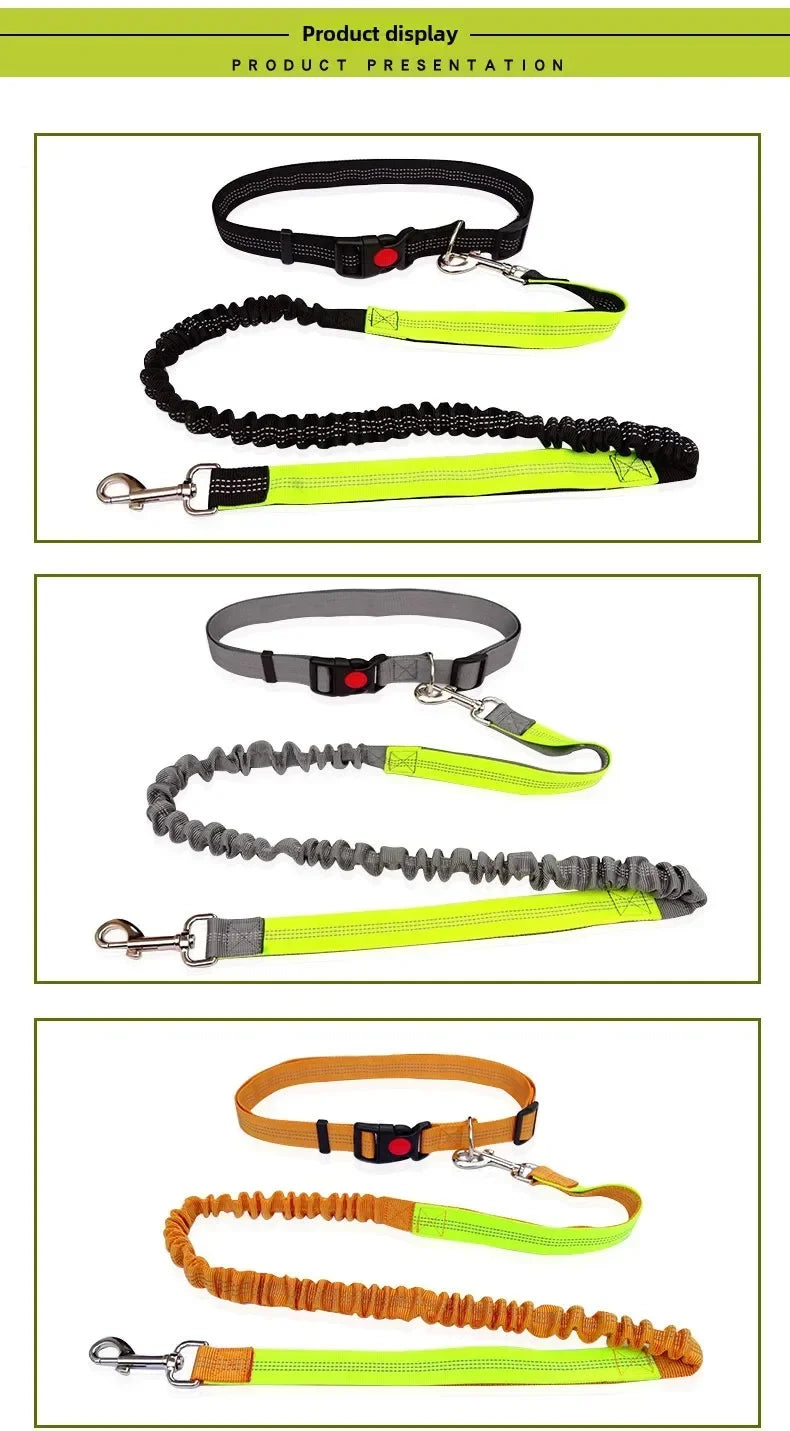 Hand Free Dog Leash for Pet Walking