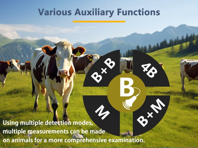 Handheld Vet Ultrasound Machine