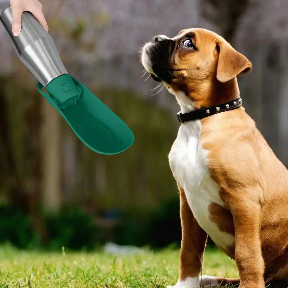 Dog Water Bottle 27oz Stainless Steel