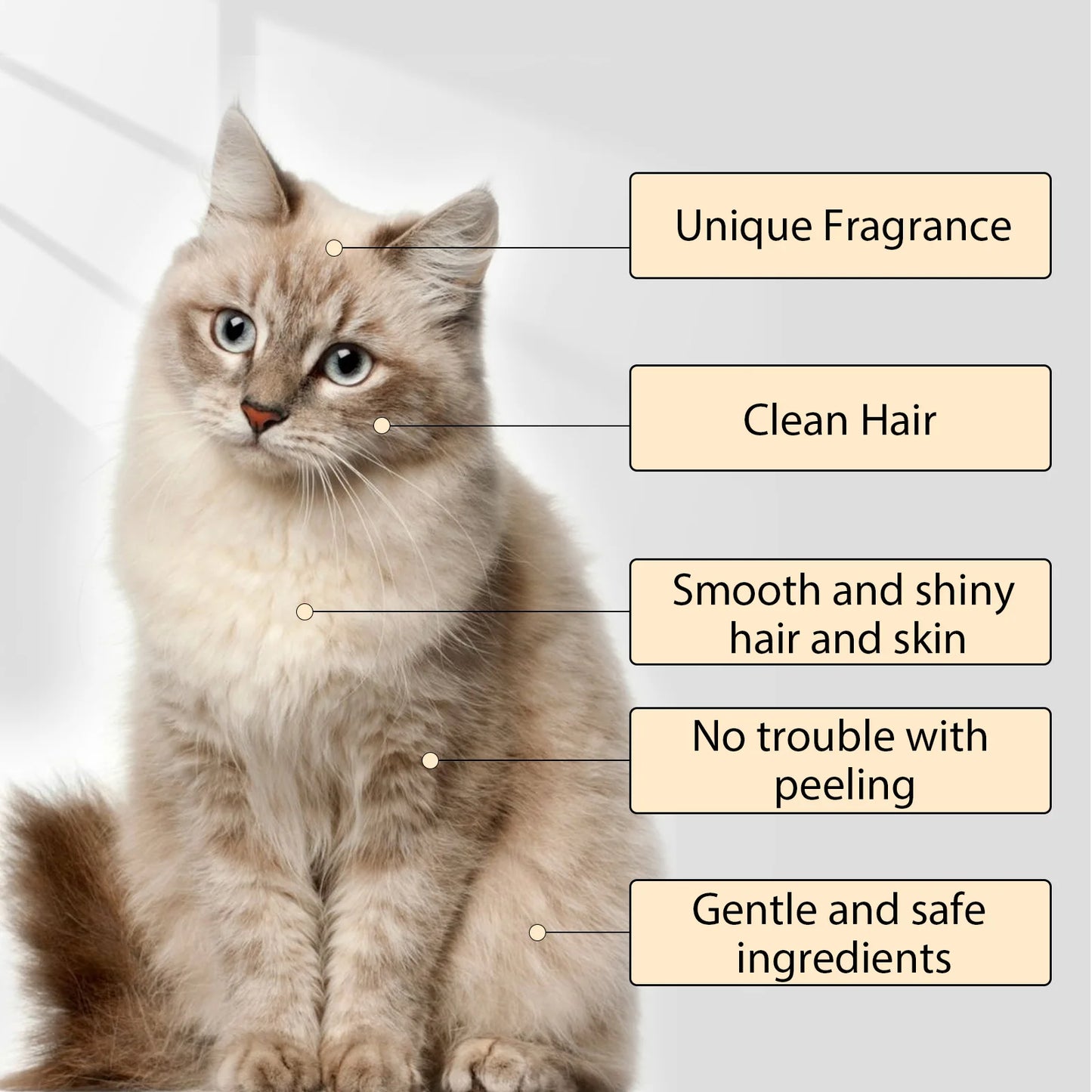 1-4PCS Pet Shampoo