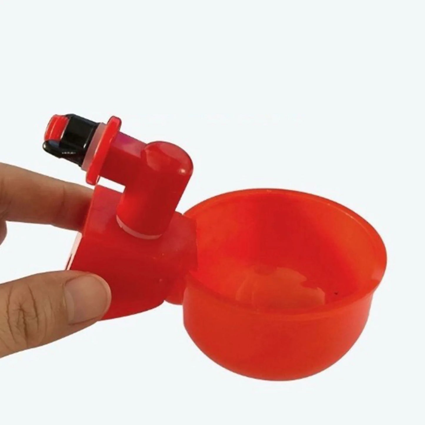 36-1PCS Chicken Drinking Cup
